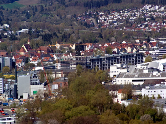 Ulm Stadtregal  (5)