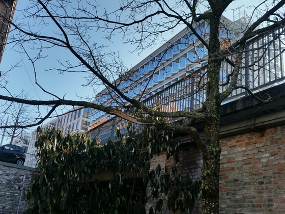 Ulm Neubau Sparkasse Februar 2015 2