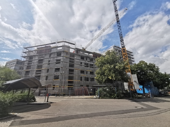 Ulm Neubau August 2019