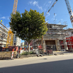 Ulm, Neubau, Dichterviertel, September 2025