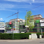 Ulm Sedanstraße 124 sowie 120 bis 122 Stadtloft sowie Neubau  UWS Mai 2013 (1)