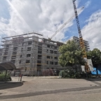 Ulm Neubau August 2019